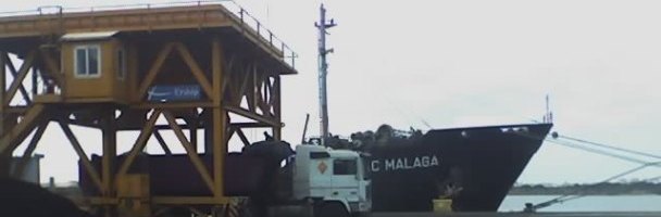080107_huelva_foret_008.jpg