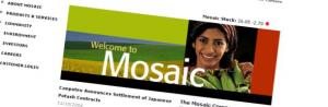 tn_mosaic_610.jpg