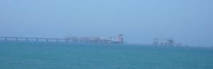 tn_sea_lavender_610.jpg