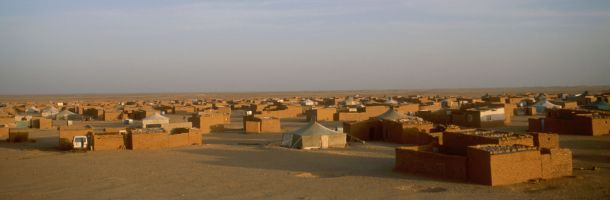 camp_610.jpg