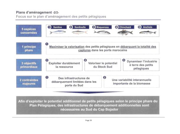 plan_halieutique38_609.jpg