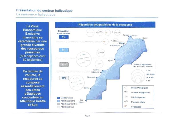 plan_halieutique3_609.jpg