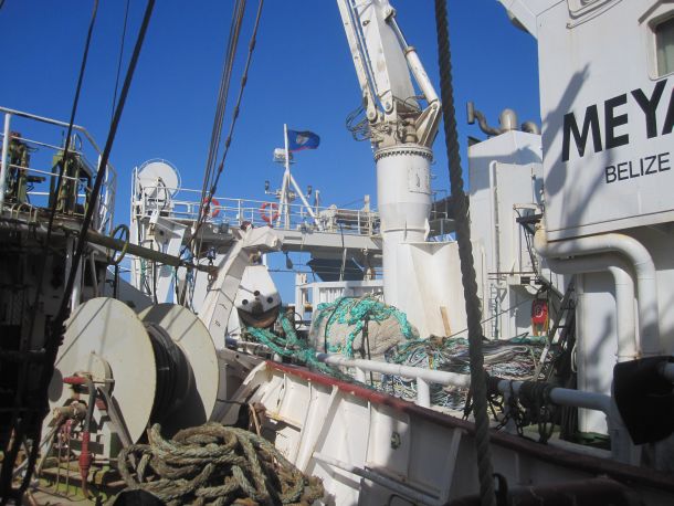 meya_dakhla_1_610.jpg