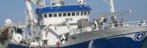 tn_meya_dakhla_610_200.jpg
