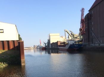 bente_19.07.2018c_350.jpg